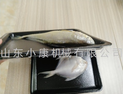 連續貼體包裝機 自動切割貼體包裝機廠家包郵