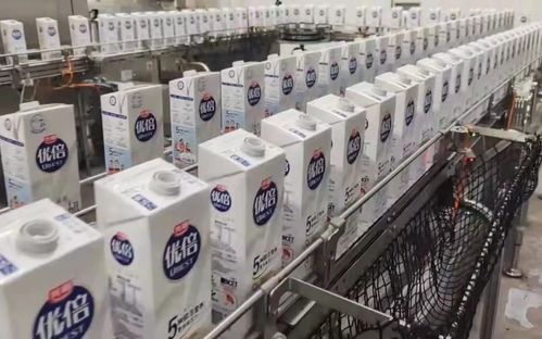 百年光明煥新顏 全鏈路領鮮戰略引領乳業升級